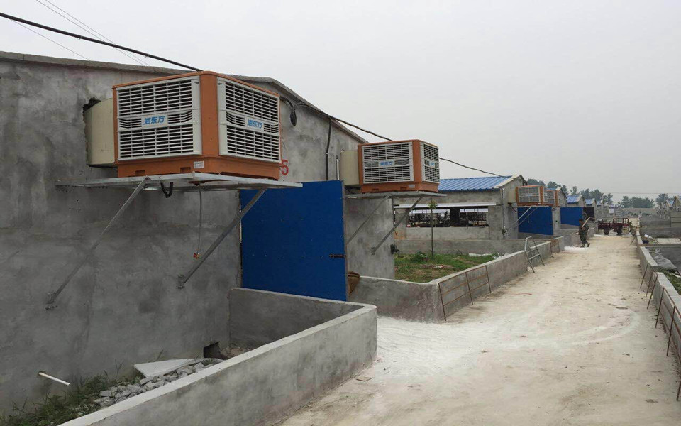 一定要關(guān)注！今天正式拉開瑞昌2016養(yǎng)豬場通風降溫旺季序幕！